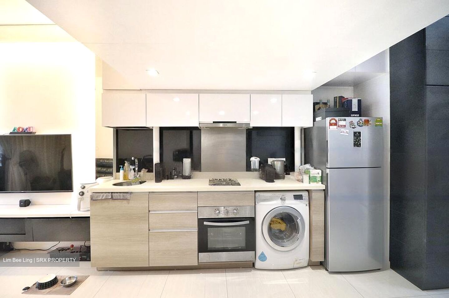Boathouse Residences (D19), Condominium #481477161